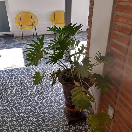 גואדלחארה Estudio #5 Casa Fatima, 8 Min Del Centro 1 Persona מראה חיצוני תמונה