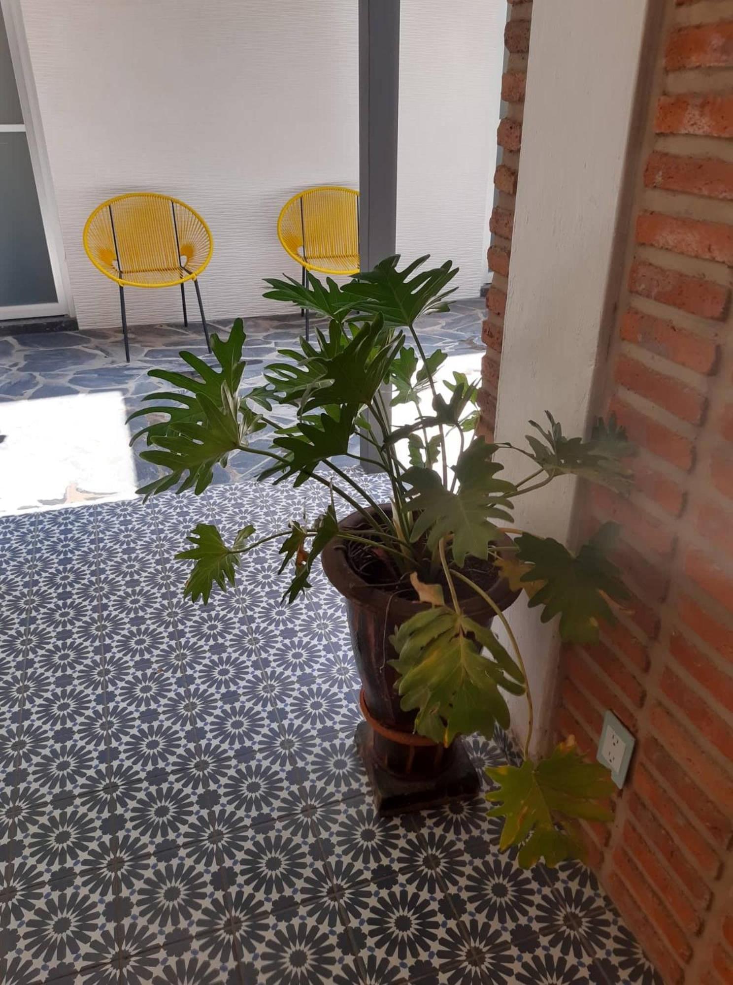 גואדלחארה Estudio #5 Casa Fatima, 8 Min Del Centro 1 Persona מראה חיצוני תמונה